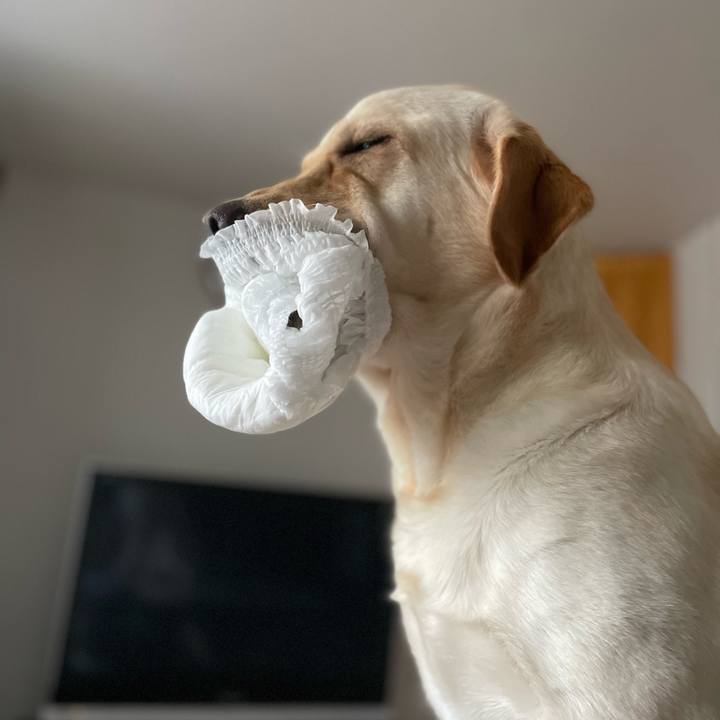 3fff8a01 c5cf 4ba2 ae4c e6606b4f8f74 1690494242601