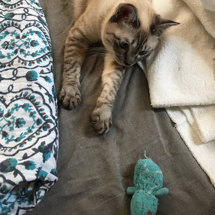 3fffa211 ccfa 4482 97bc f7e355fe4aa3 1564833345899