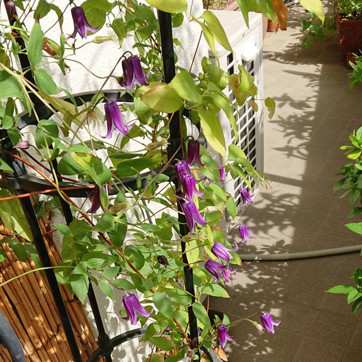 3ffffba9 b0f5 4f7a 9729 fa5c281a35c6 1534905344234