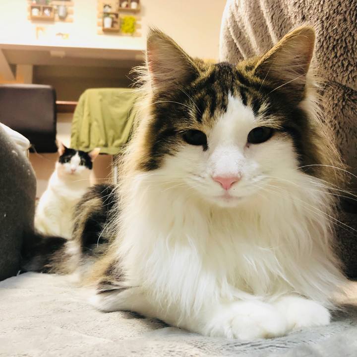 4000913a 5edf 44a2 abab b7bd3b150666 1524579737824