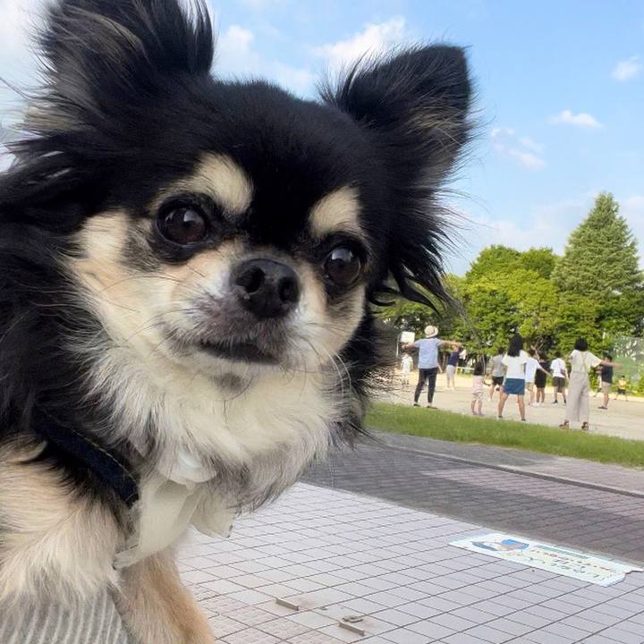 4000982d 4a98 4123 b920 9a178d7318bf 1689891785838