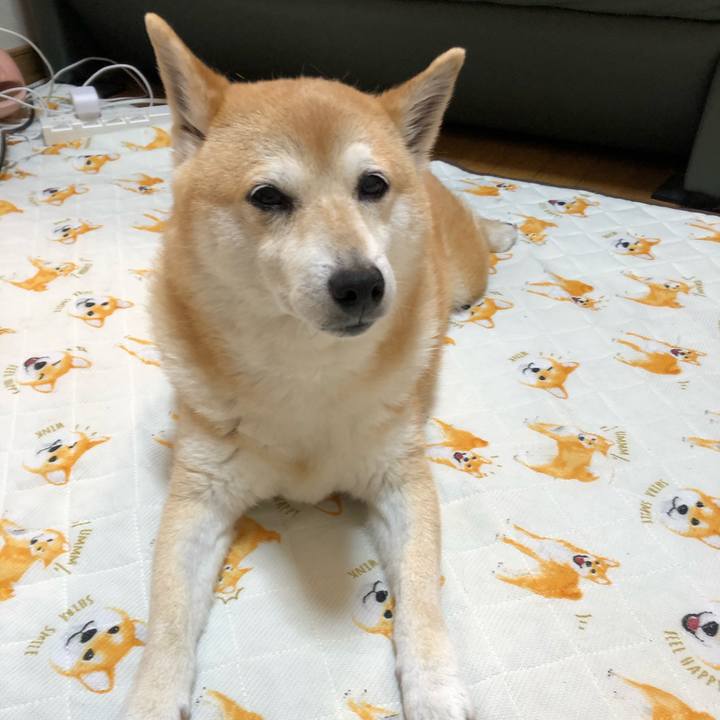 40009993 12a9 44b0 b42c 57b48dde7541 1590647481929