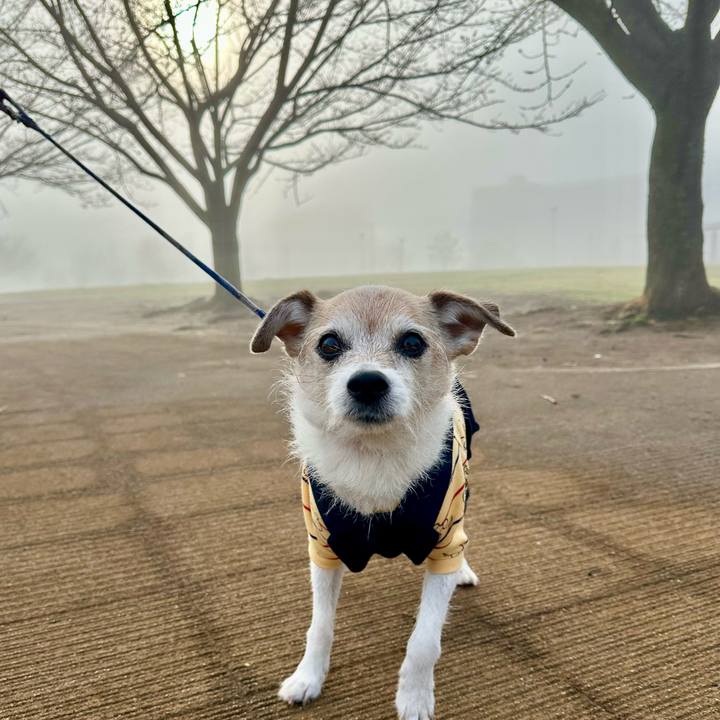 4000dadd 6f91 405e 89ec c27dabe794f7 1711755025181