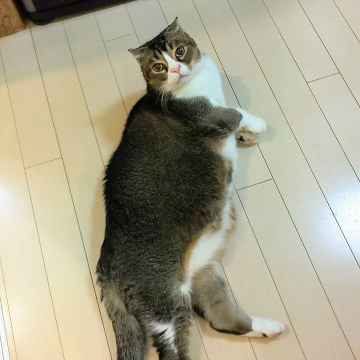 40014c32 1221 4cdf b1f1 3ccd83790356 1734525952502