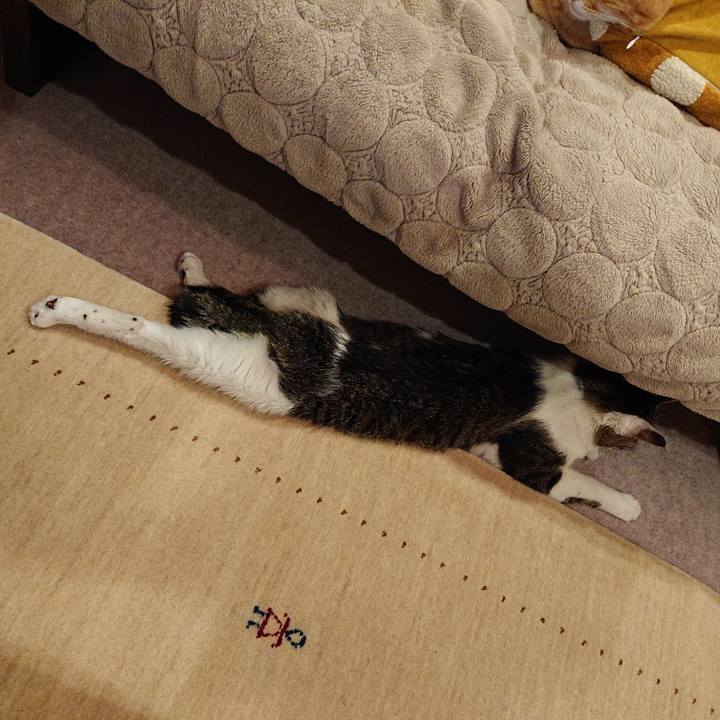 4001728f 6804 440a 8c31 ca1f6a48fd4a 1587125730741