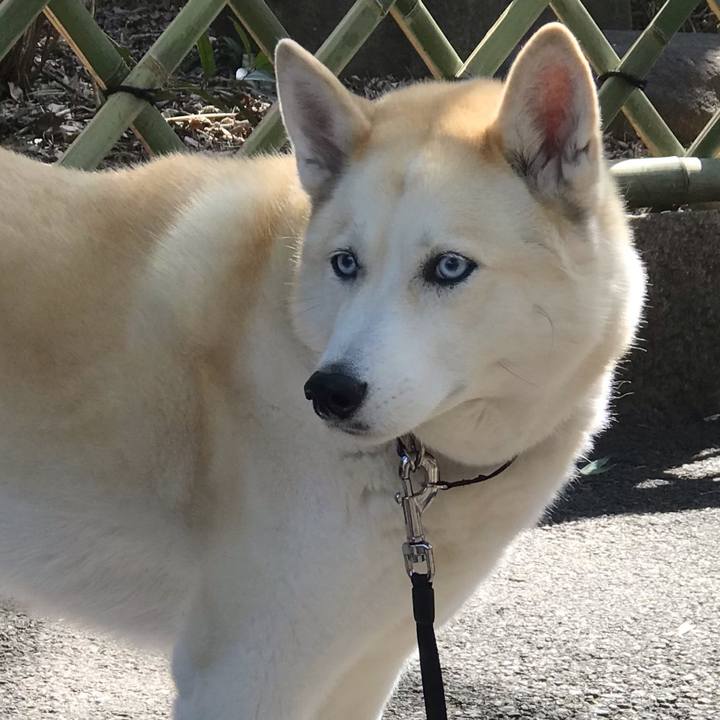 40018a86 539e 4387 a50f 6df796636516 1647224938385