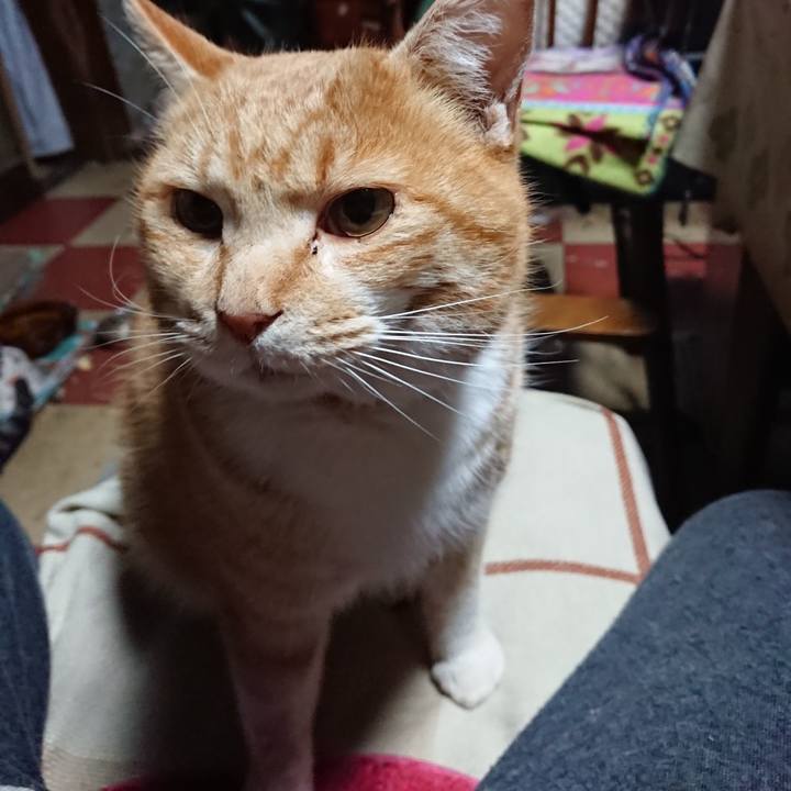 4001df99 2d78 45a3 badc e1046501a69a 1579377573371