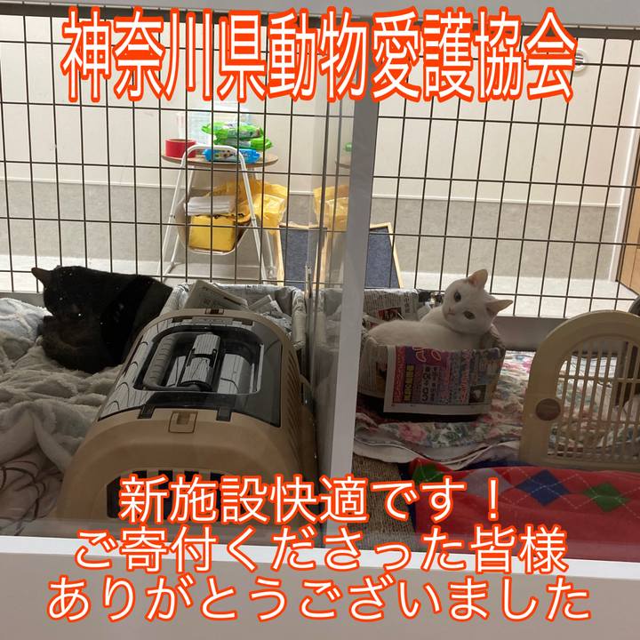 4001f590 2f7c 4cd5 abef c47345b60305 1735269076020