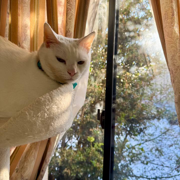 40021300 0391 4a93 aab4 5d999b9bf462 1767413359012