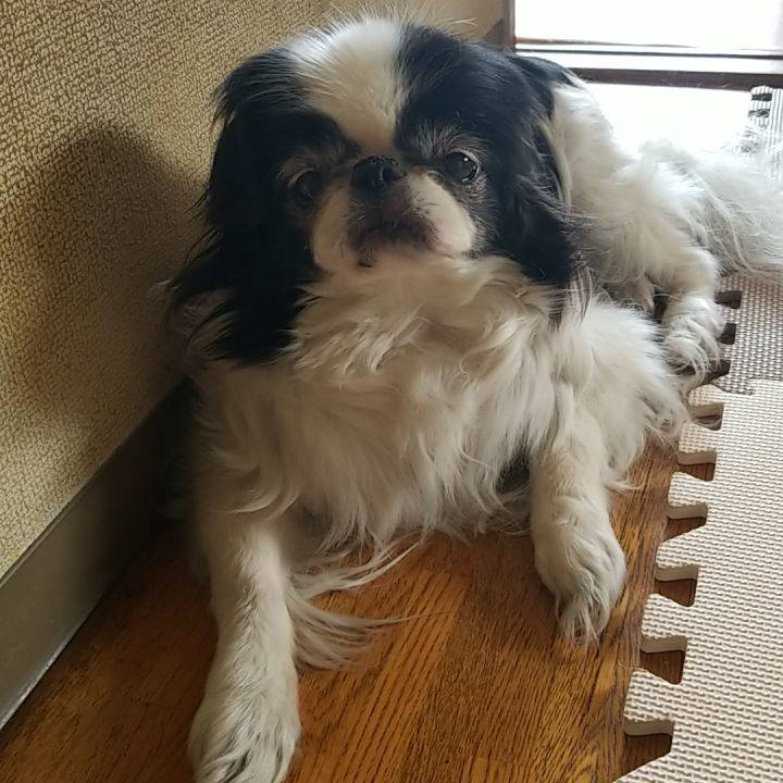 40021a6e f3a2 4b9f 95e9 d3b3cf3612b3 1525612667504