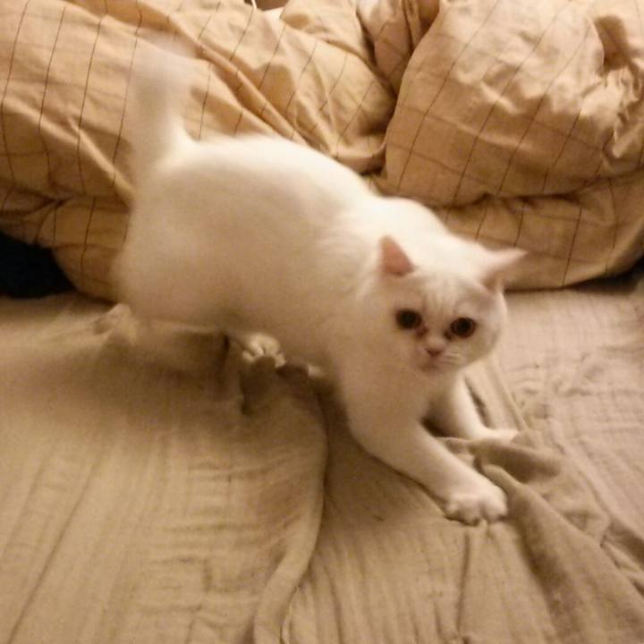 400221fa cdc8 4d52 9d53 e54909328f61 1508799083675