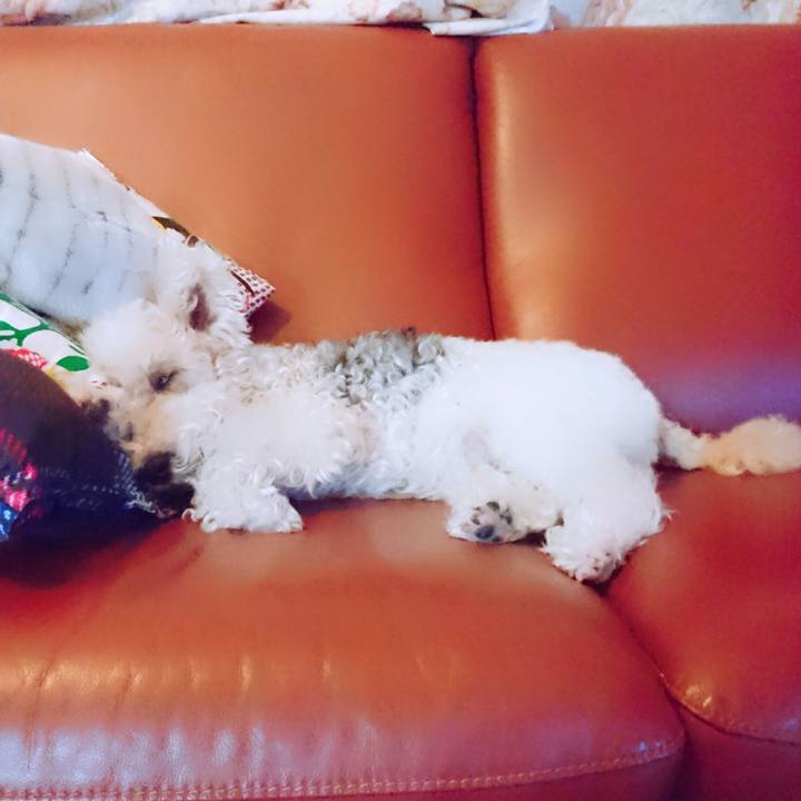 400227b9 e358 45d7 8b29 1b7767cea292 1516977889821