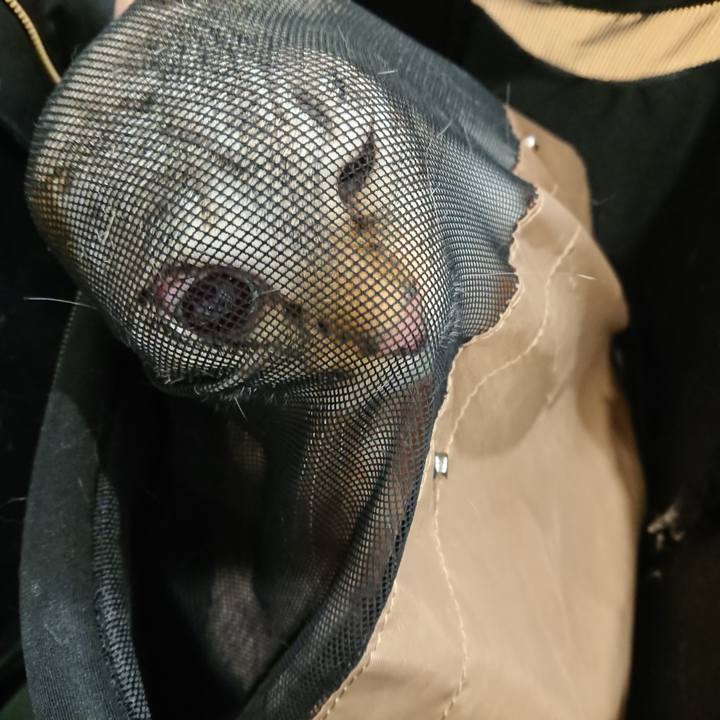 400236cf 53d2 4814 9770 26403ecc1095 1589629583662