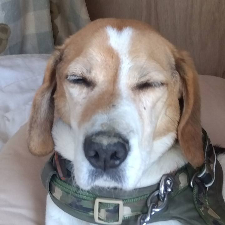 4002490f f286 4bb5 b825 c32571fe67ab 1711892730381