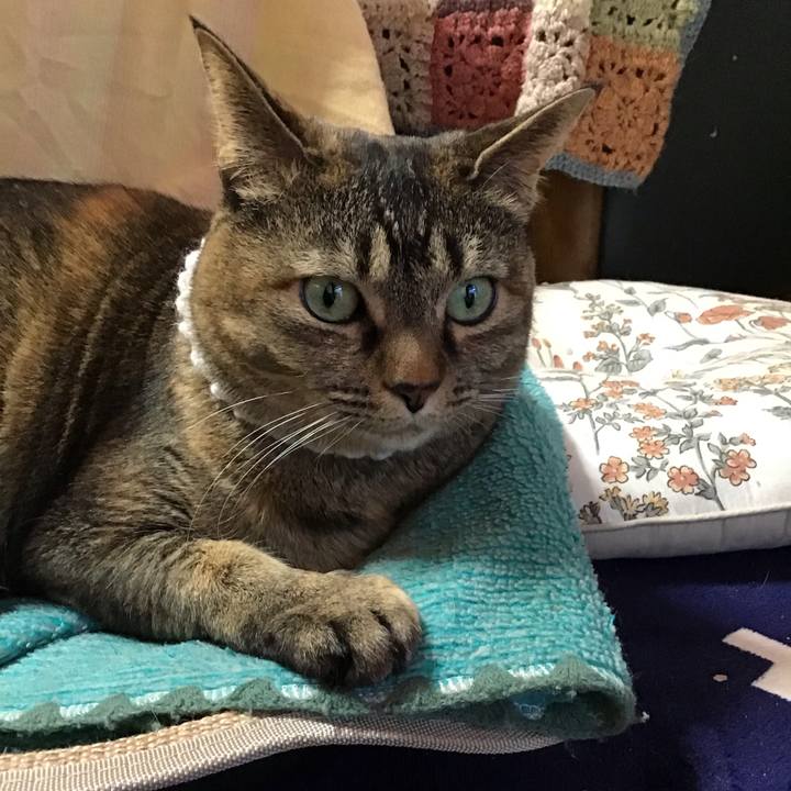 40026d25 0b44 4edd a575 b469a124e827 1739182442250