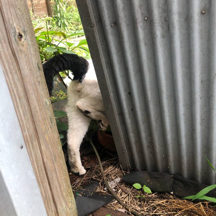 400275e8 89cf 4bdd be43 1aa2e578f02d 1593517133805