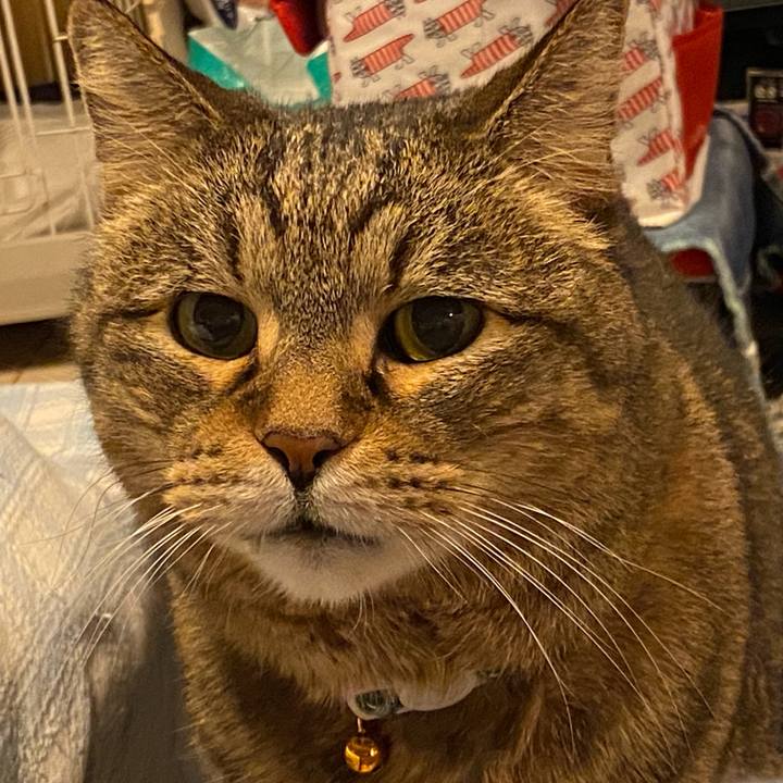 40029b92 e774 4e2c 80f9 56ca10abeee5 1705815401912