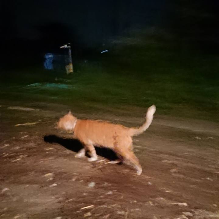 4002ec56 e84b 47d5 8452 6b4a4ebdd81b 1596628437412