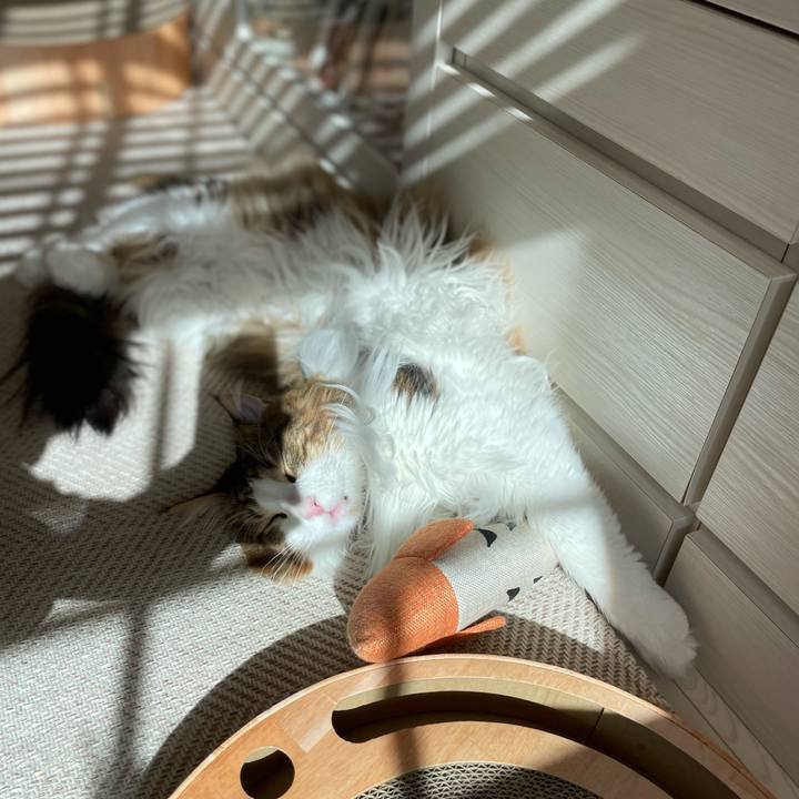 4003061c 16ec 482f bed1 65a7b6d94580 1682835726065