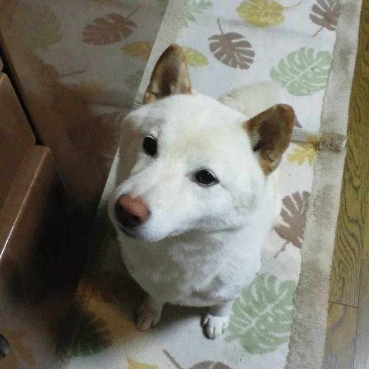 4003229a a0db 40e1 8d1e ee96e0b10555 1656936117137