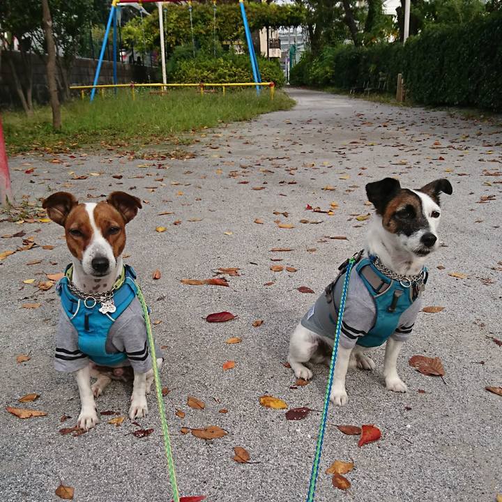 40033a64 0b92 467d ab81 9410dcc4fc69 1603842476702