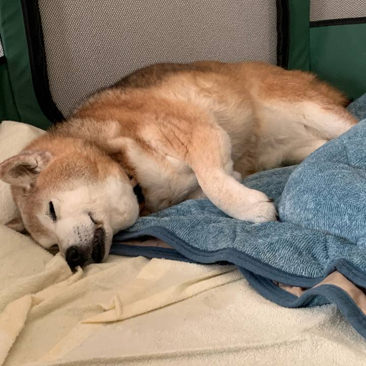 40035d87 b330 48c5 9801 e98351bb39c5 1683353957800