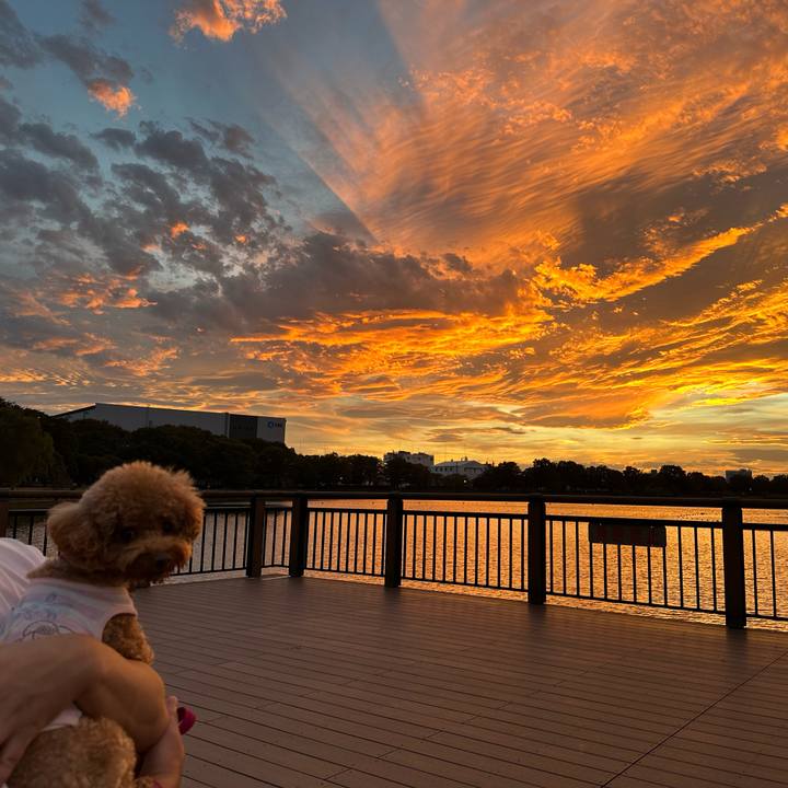 40036b9f c87e 4598 bab5 3dc85274f1cb 1760779559142