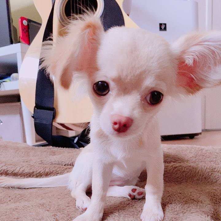 40038730 e6ec 4416 859c 2d9b170c645a 1594695550649