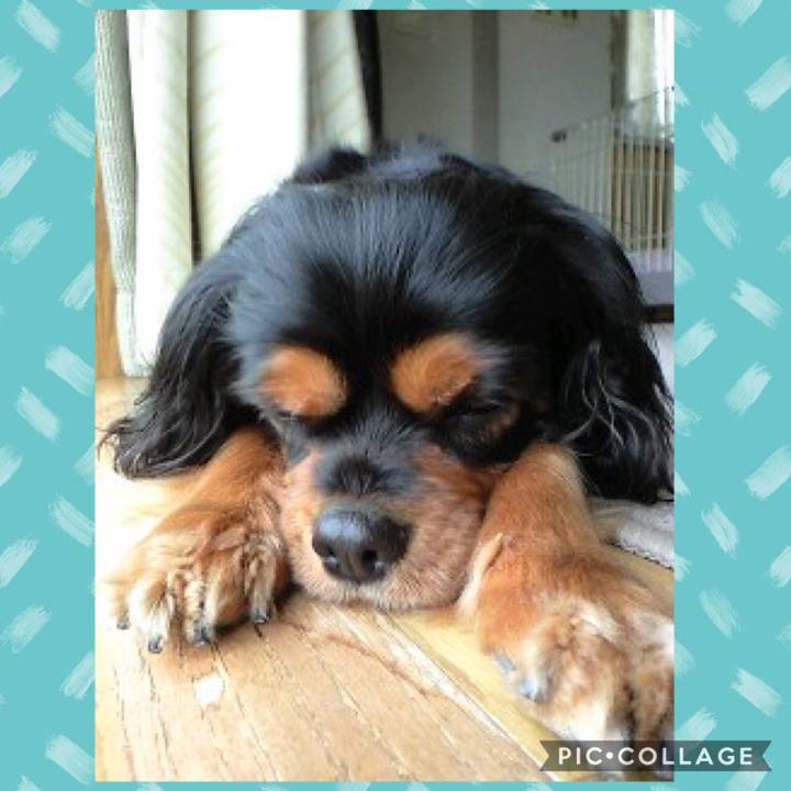 4003974c 78c4 4f80 82cf 248134747fd7 1597373000611