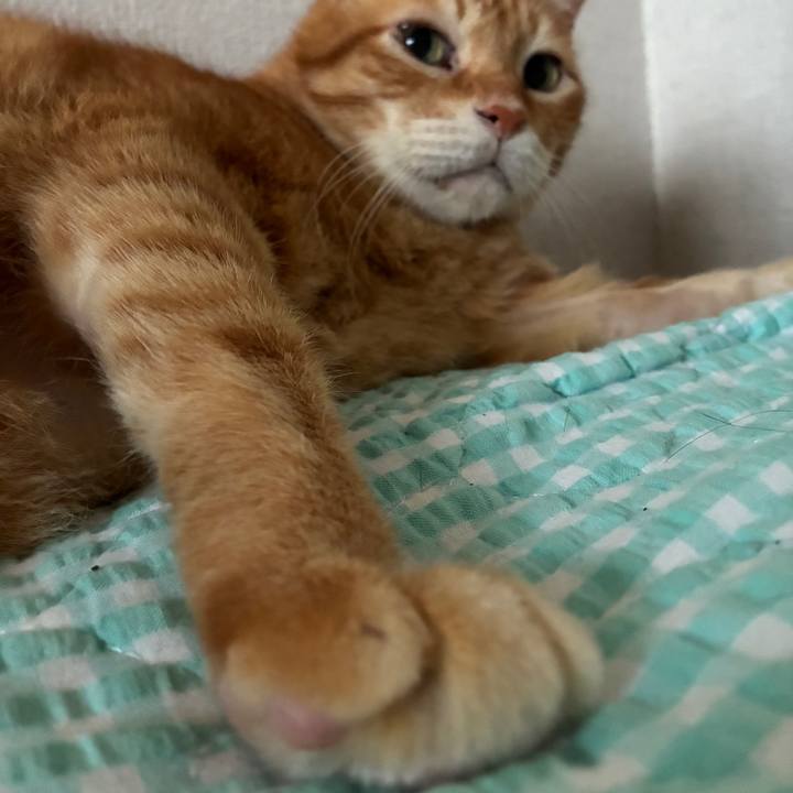 4003a61c f770 4aa4 9c92 579dc35acbcf 1755550782614