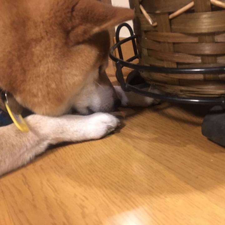 4003a9c4 324e 4ba7 acd9 dacd662edd95 1541590941848