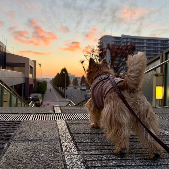 4003aad8 e1ee 4b1a ad79 caa2251d69d3 1763995292948