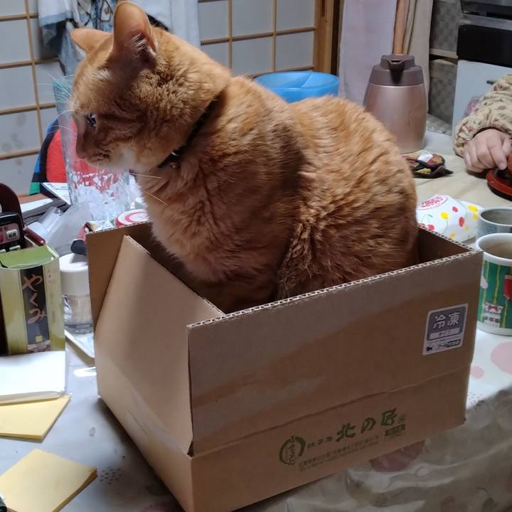 4003dea7 e031 4e7a b56d 2b4cfec671da 1670991866165