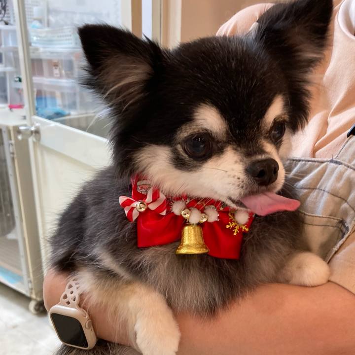 4003f827 7aef 4287 85c0 c8c42bafb1f9 1762944634685