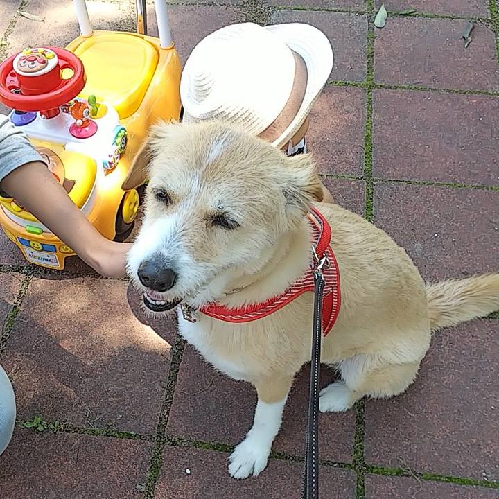 4003fdd6 9458 438e a920 52e11776ab87 1526120573967