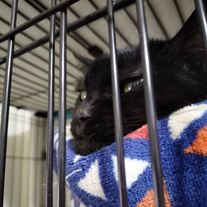 400431d1 0282 4350 97e6 d28c52ee18dc 1701688277648