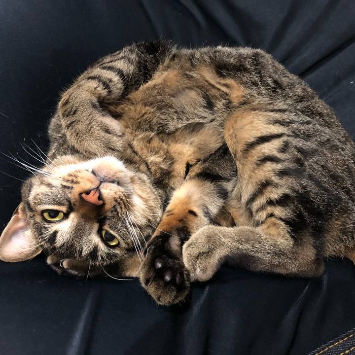 40045786 6d9a 4f95 afb6 29f3bac00c9f 1534240843003