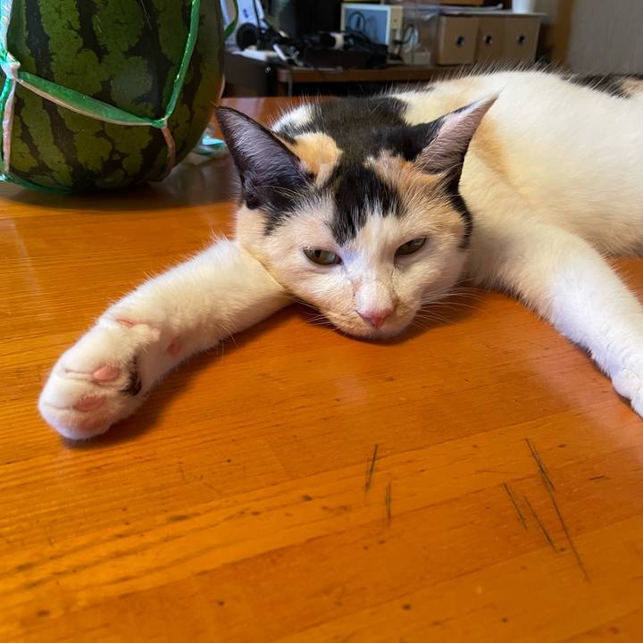 40046597 d5a7 400e acda 8d982ec9e111 1722297572272