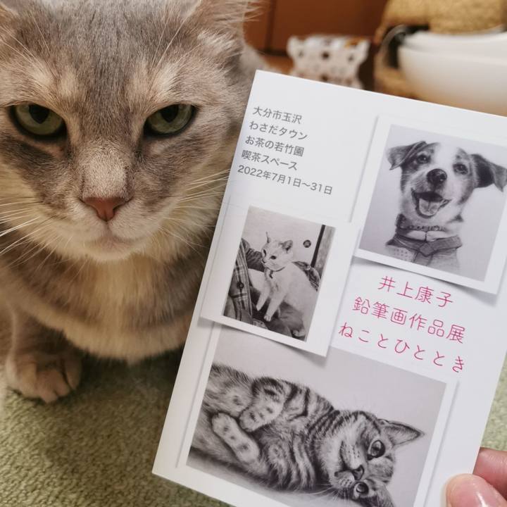 400471e1 978f 4ed6 a252 54c238016761 1656163542869