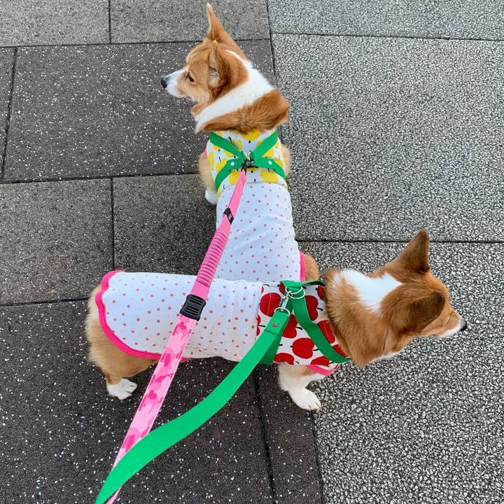 4004dfb4 cec4 4f32 9d8d 689bd4b7f399 1612344284645