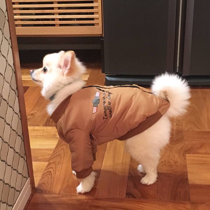 4004f600 1d91 426a bebf 4eac8809484e 1549971907436