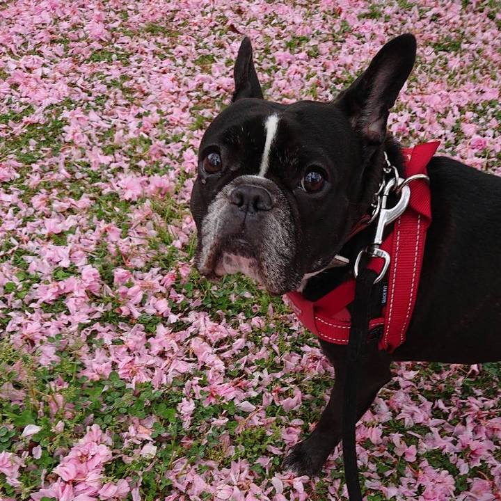 40050c95 db16 47d2 a310 90652ea7aaec 1557148131739