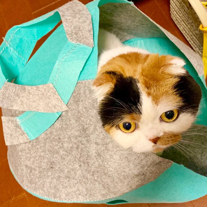 40055b29 a2dd 4734 a880 a793088eccd9 1570102344271