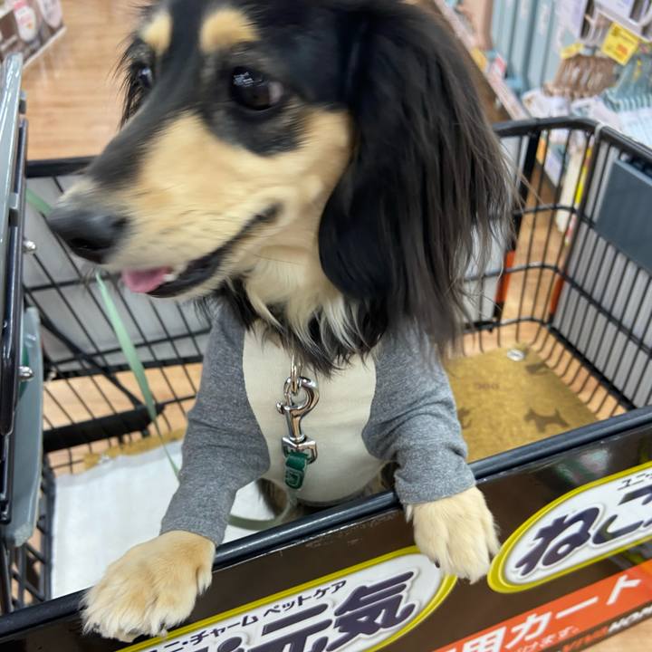 40059c51 2fe7 45d7 9a30 ddb468cef129 1711512734798