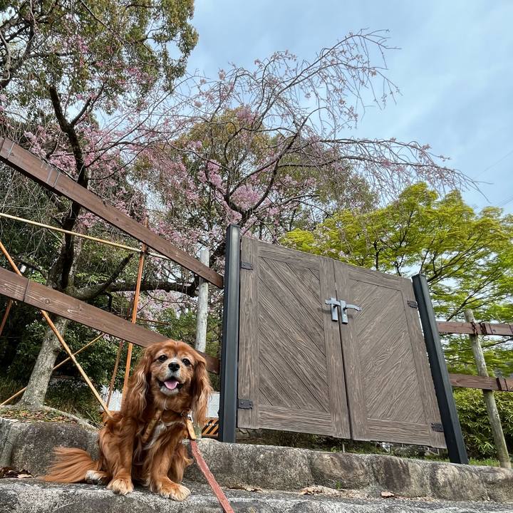 4005a5db 9a9b 45e2 bd9c 54aa9028ece0 1712450050122