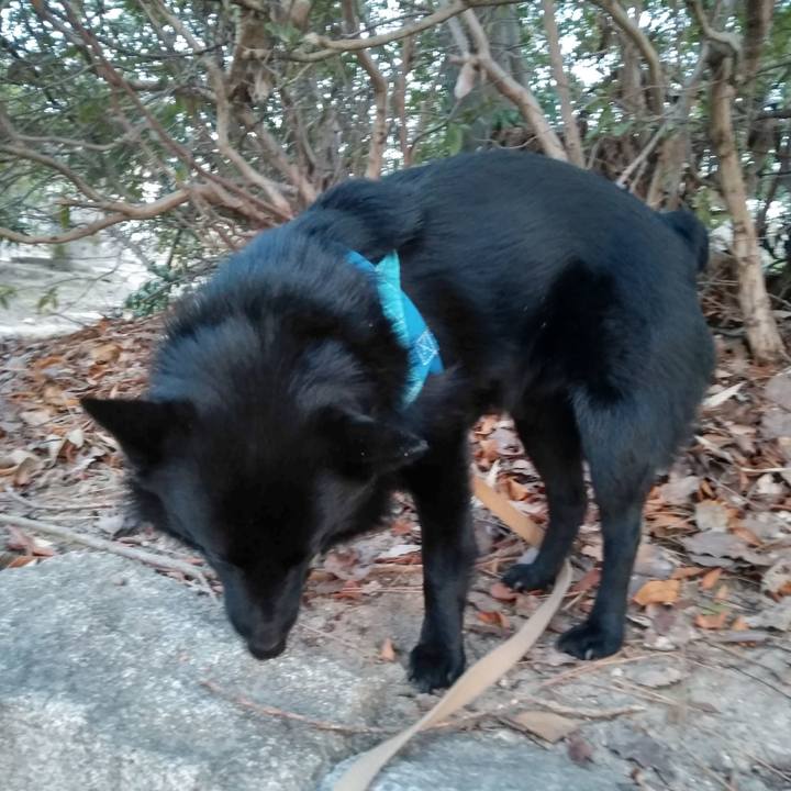 4005aacd f35c 4395 8d94 b74959518f27 1551143980902