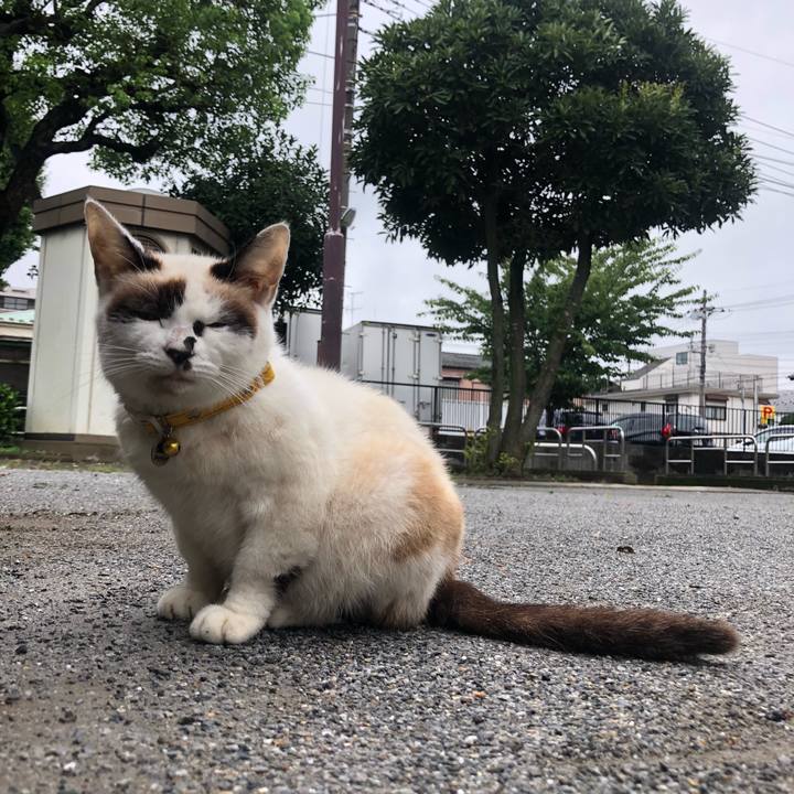 40060069 f192 410e 93ed a48b2ddfaaa3 1629273474253