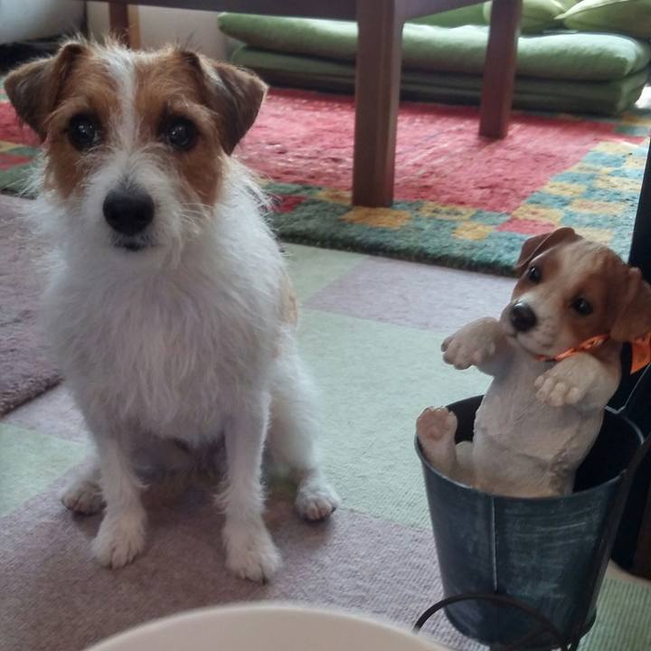 40062afd af97 46f6 be0f 0f2eda070a6f 1537229059029