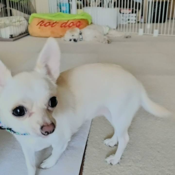 400645cc 1912 4744 9295 9e8b7fc9844d 1726529342883