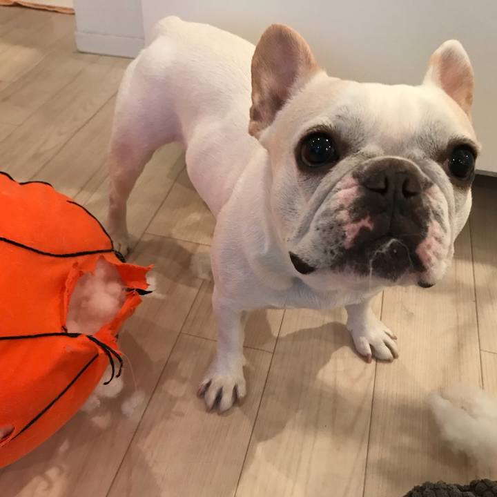 4006863c 281e 4e18 82b0 daeb593724f1 1521207418088